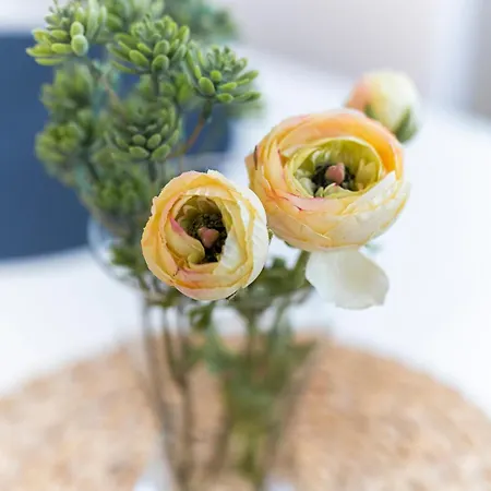 Bellabene Modernes Studioapartment In Zentraler Lage, Arbeitsplatz, Parkplatz Appartement *