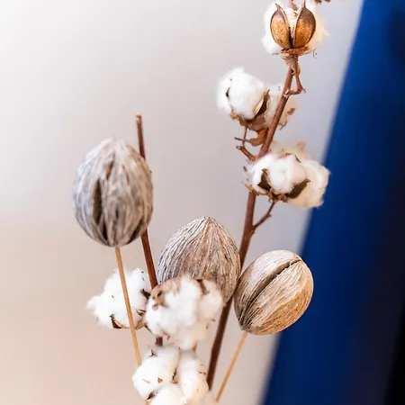 Bellabene Modernes Studioapartment In Zentraler Lage, Arbeitsplatz, Parkplatz Appartement *