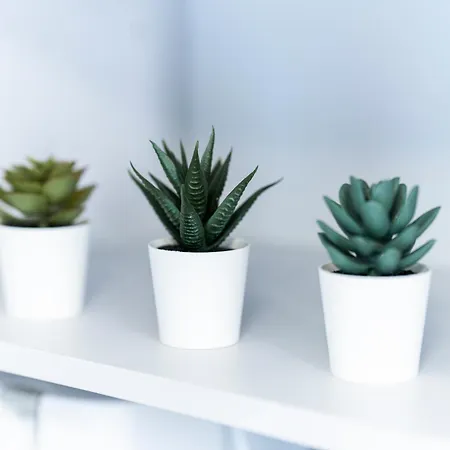 Appartement Bellabene Modernes Studioapartment In Zentraler Lage, Arbeitsplatz, Parkplatz *